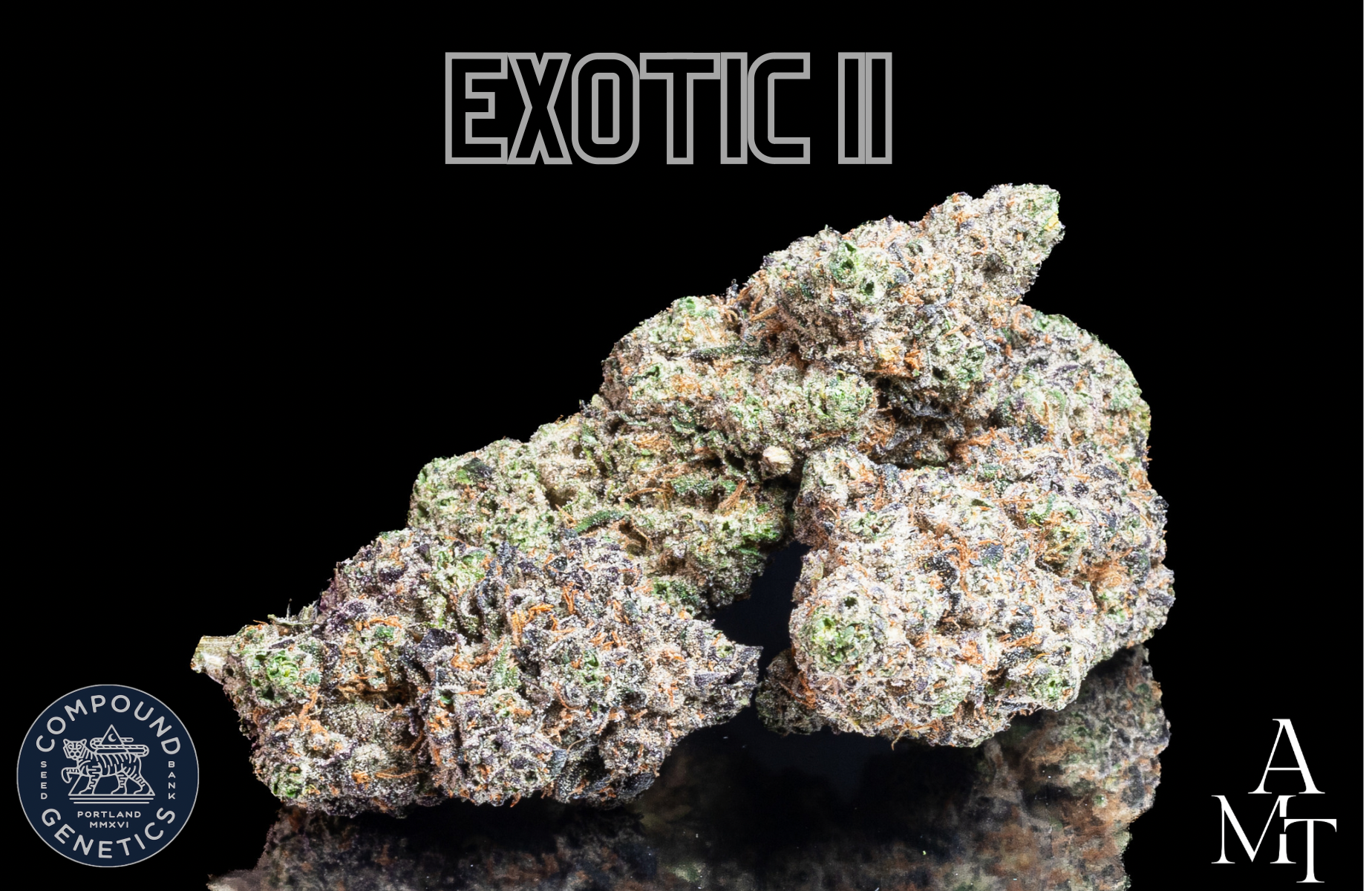 Exotic II กัญชาคุณภาพสูง